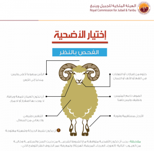 الشروط الواجب توافرها في الأضحية
