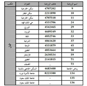 الروضات الحكومية في شرق الرياض الروضات الحكومية في شرق الرياض