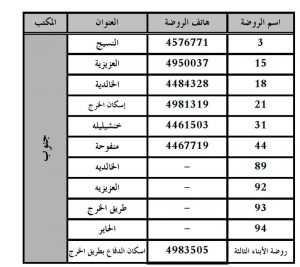 الروضات الحكومية في شرق الرياض الروضات الحكومية في شرق الرياض