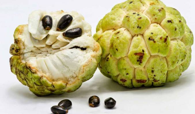 ما الأطعمة التي تقتل السرطان ما الأطعمة التي تقتل السرطان