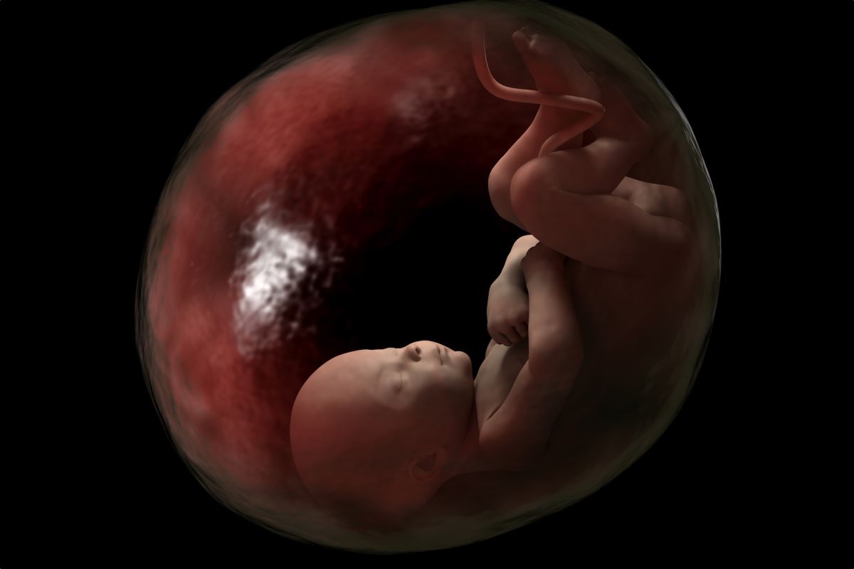 حكم إجهاض الجنين قبل الأربعين