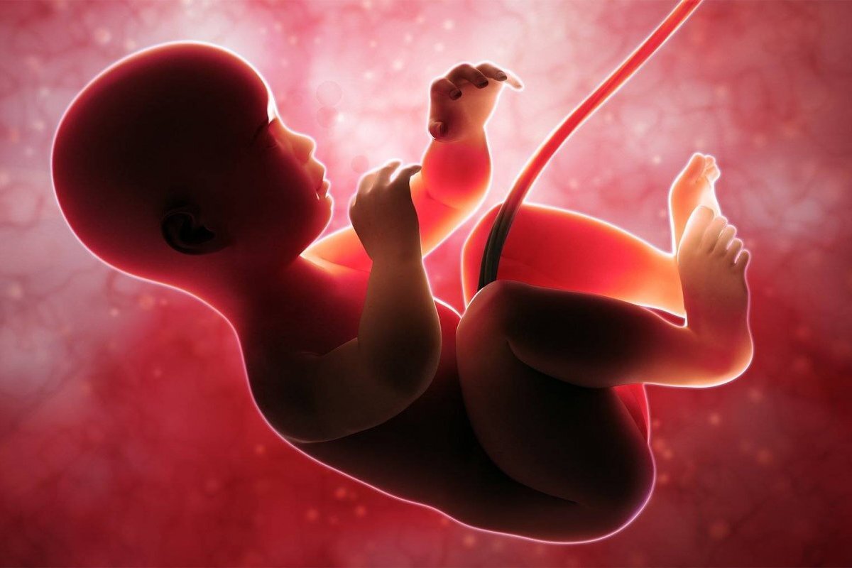 كيفية تغذية الجنين في بطن الأم