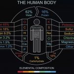 أهم العناصر الكيميائية في جسم الإنسان