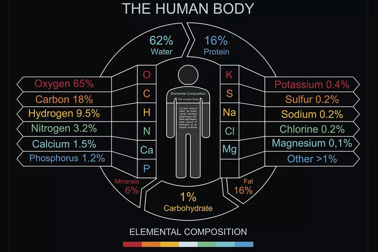 أهم العناصر الكيميائية في جسم الإنسان