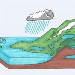 دورة الماء هي تحرك مياة الأرض فترة قصيرة وتتوقف  صواب أو خطأ