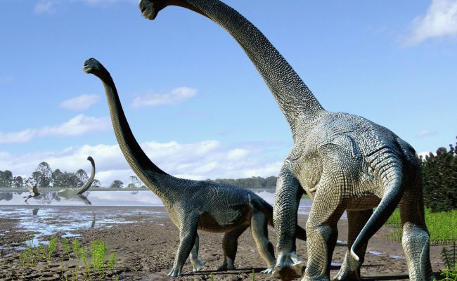 هل الديناصورات حقيقة ام خيال