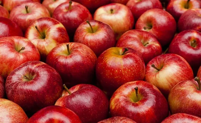 تفسير رؤية شراء التفاح في المنام لابن سيرين