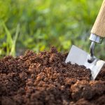 العوامل المؤثرة في تكون التربة
