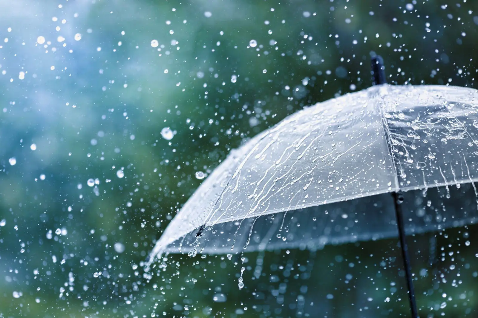 Hvad er fortolkningen af ​​en drøm om regn?
