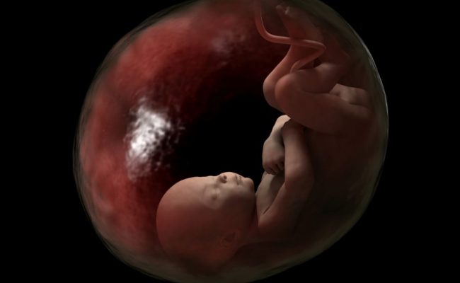 متى يتكون الجنين داخل كيس الحمل.