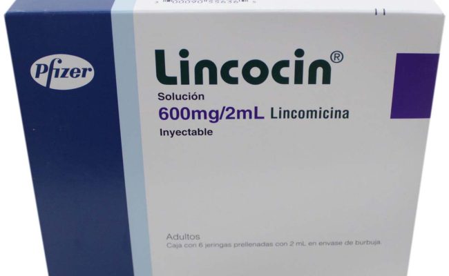 دواعي استعمال لينكوسين مضاد حيوي لعلاج الالتهابات البكتيرية Lincocin