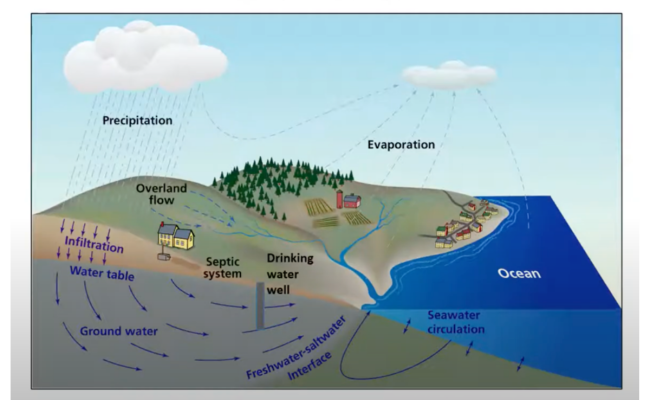 مقارنة بين دورة الماء ودورة الكربون