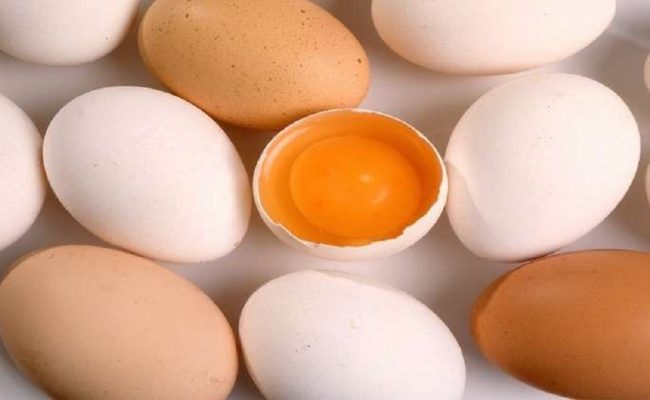 الفرق بين البيض الاحمر والبيض الابيض