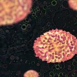 ينتمي فيروس الجدري إلى الفيروسات الارتجاعية