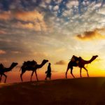 إنتقال الناس افرادًا أو جماعات من موطنهم الإصلي إلى مكان آخر بهدف الإستقرار .